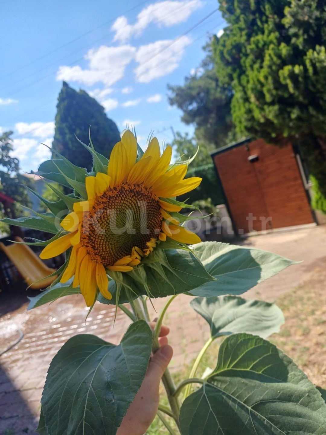 Özel Başiskele Yıldızlar Anaokulu - 10