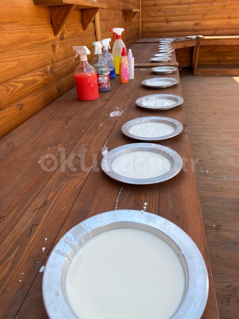 Özel Başiskele Yıldızlar Anaokulu - 12