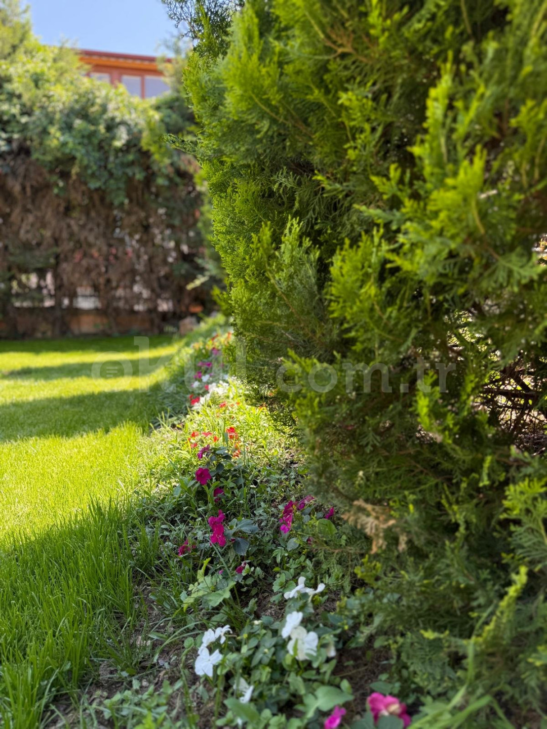 Özel Darıca Su Anaokulu - 10