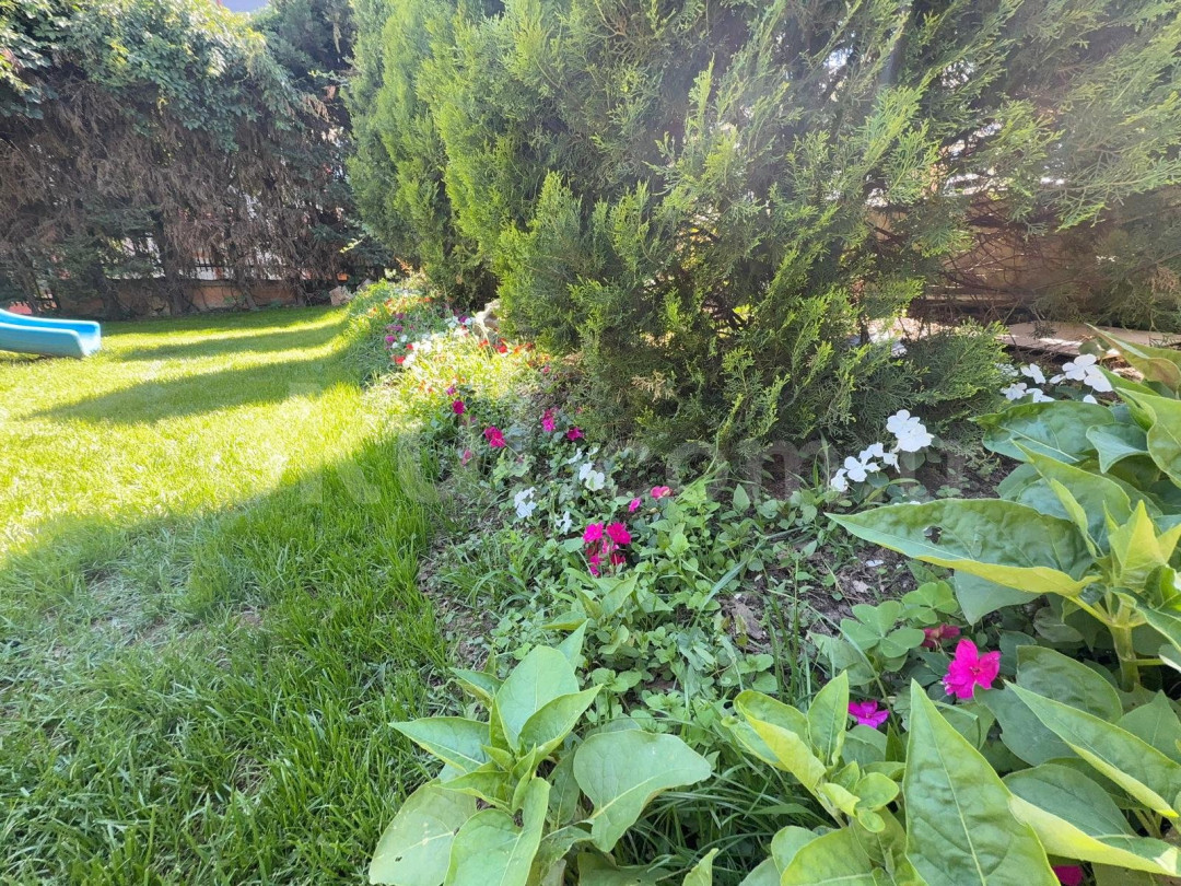 Özel Darıca Su Anaokulu - 7