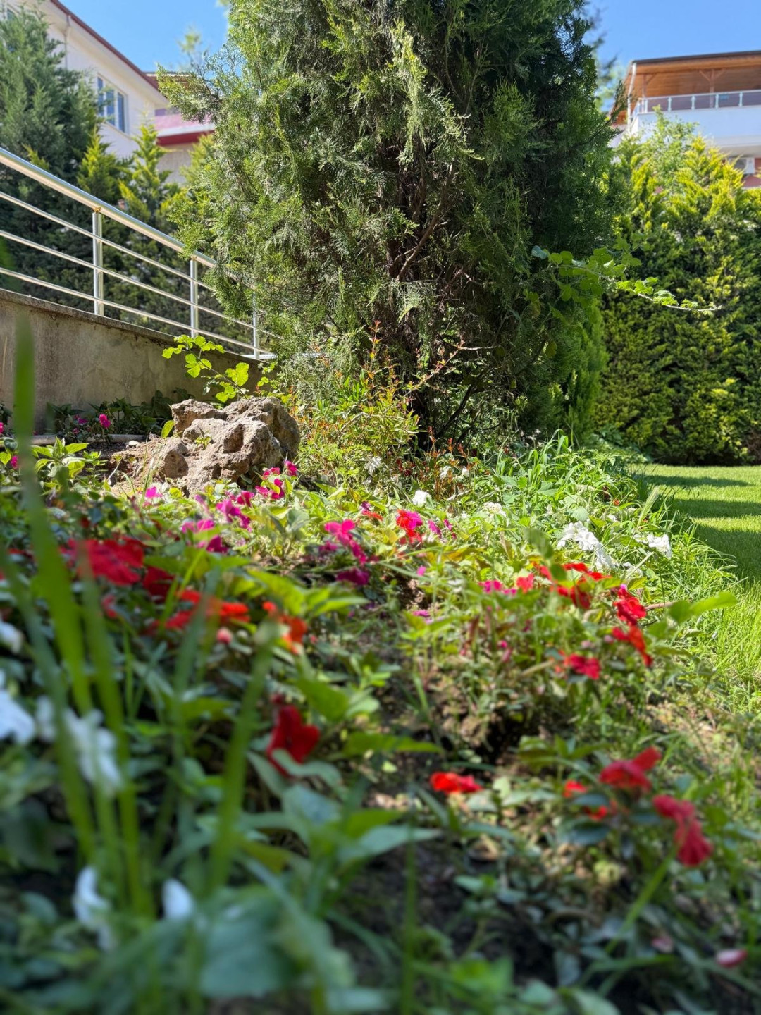 Özel Darıca Su Anaokulu - 9