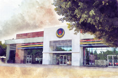 Darıca TED Koleji Kampüsü