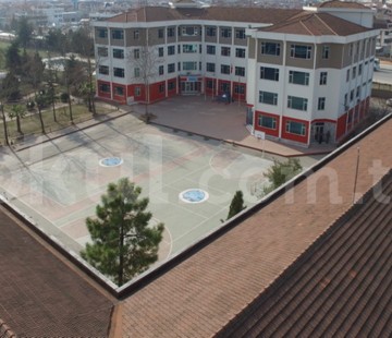 Genel Bakış