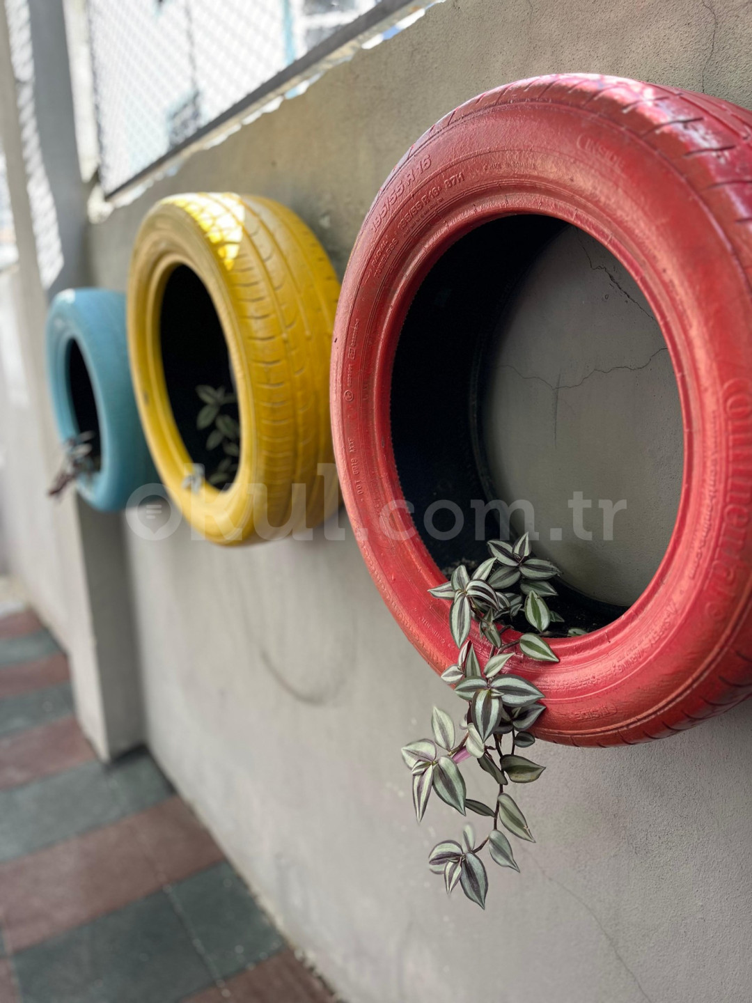 Özel Adana Çağla Koleji Anaokulu - 12