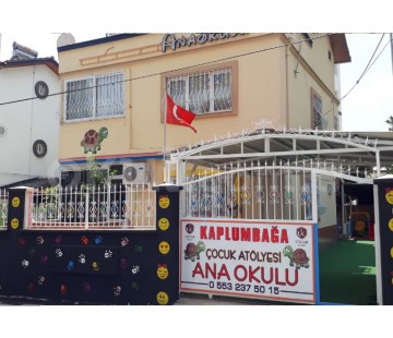 Genel Bakış