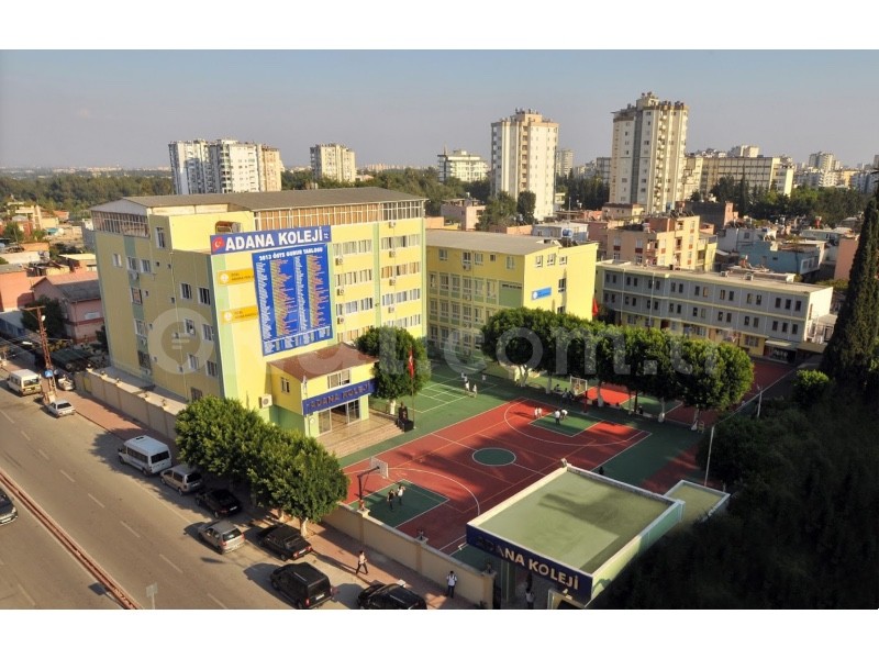 Genel Bakış