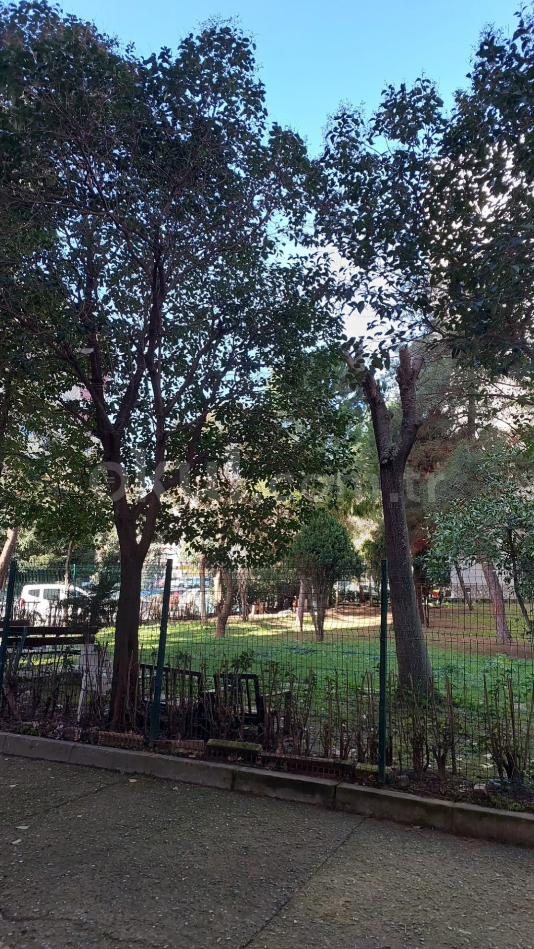 Özel Birsun Kreş ve Gündüz Bakımevi - 11