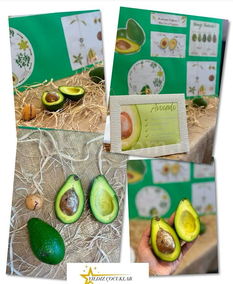 Özel Yıldız Çocuklar Gündüz Bakımevi - 32