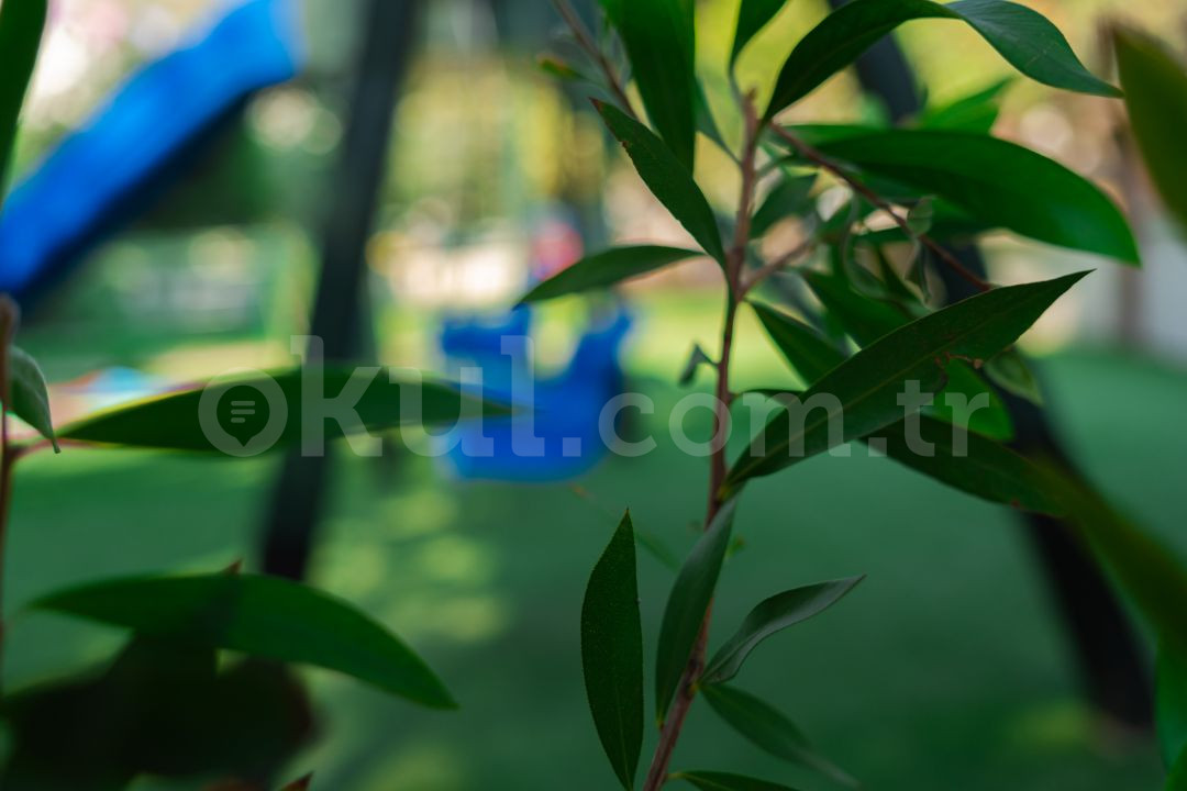 Özel Erdemli Çocuk Anaokulu - 17