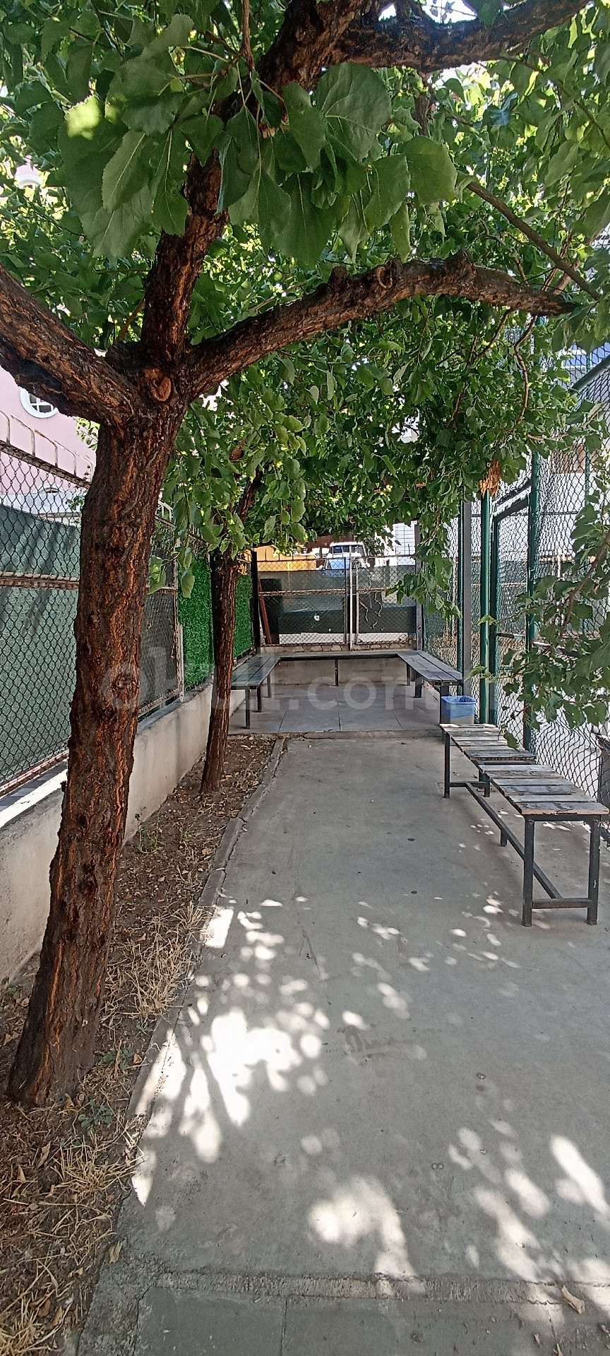 Özel Balgat Çözüm Akademi Anadolu Lisesi - 20