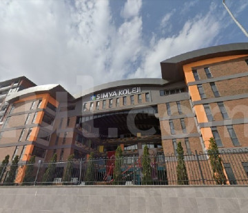 Genel Bakış