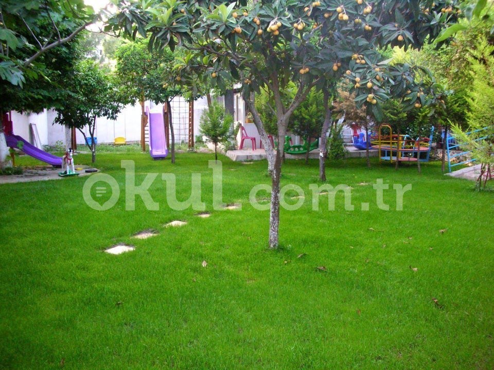 Özel Buca Tema Anaokulu - 1