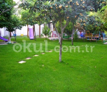 Genel Bakış