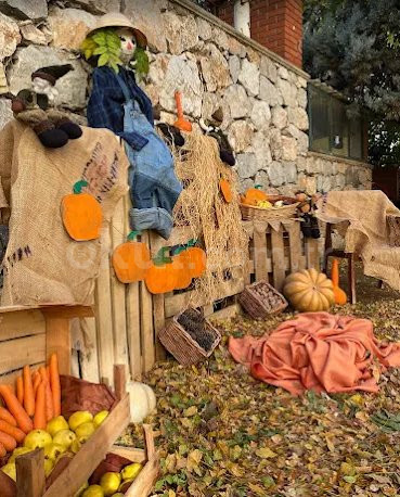 Özel Limon Anaokulu - 18