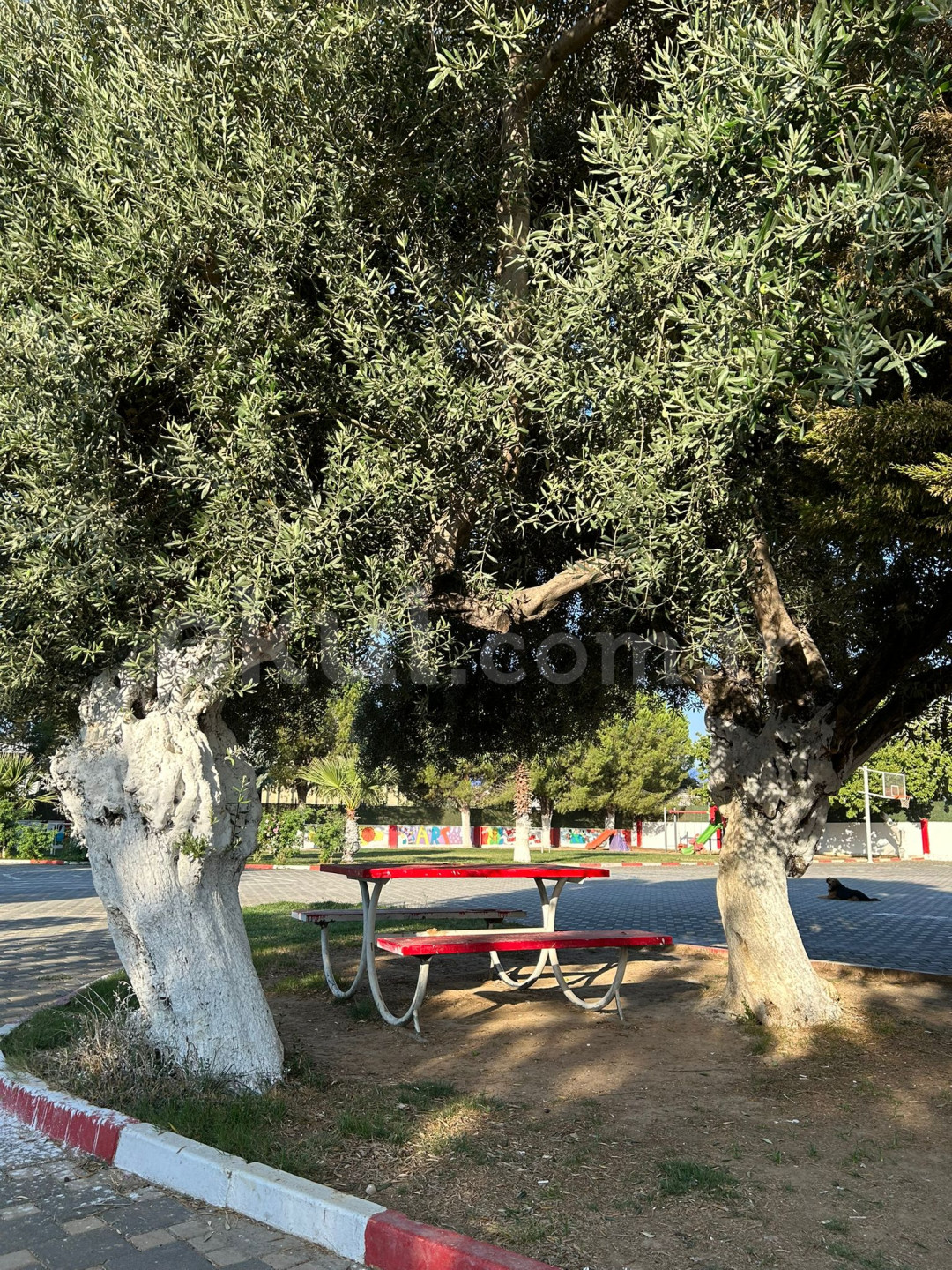 Özel Torbalı İzbilim Koleji Anaokulu - 8