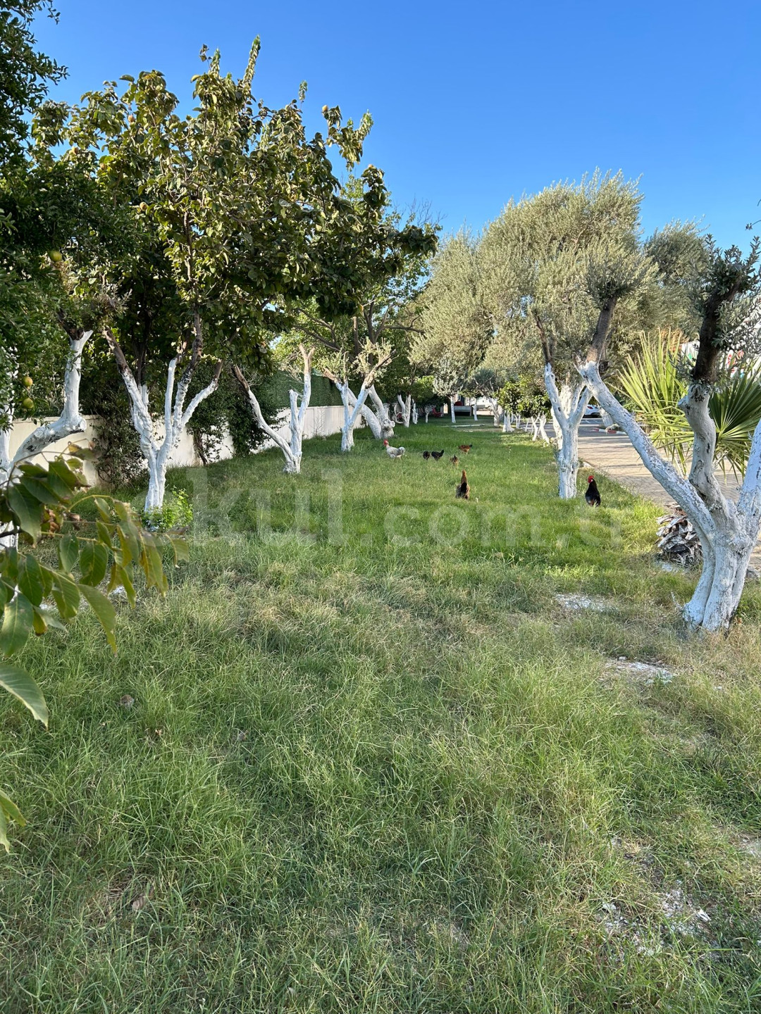 Özel Torbalı İzbilim Koleji Anaokulu - 6