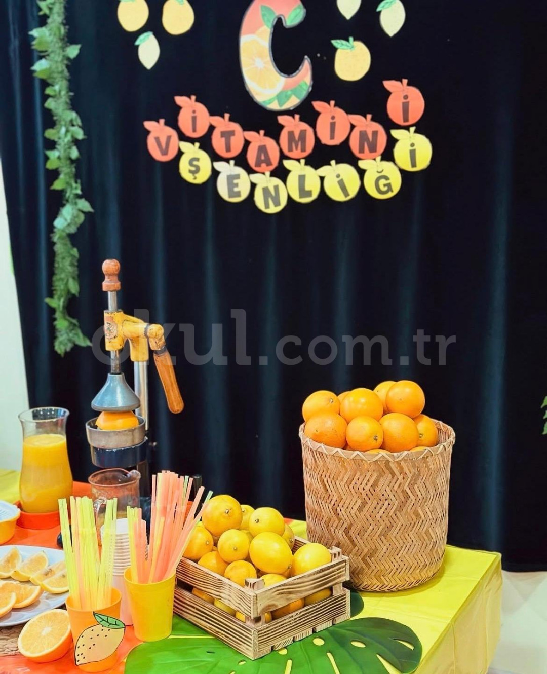 Özel Esenkent Final Okulları Anaokulu - 20