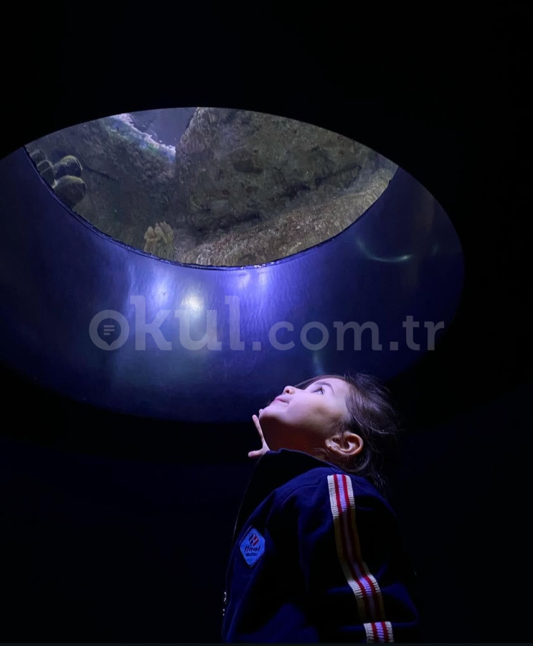 Özel Esenkent Final Okulları Anaokulu - 14