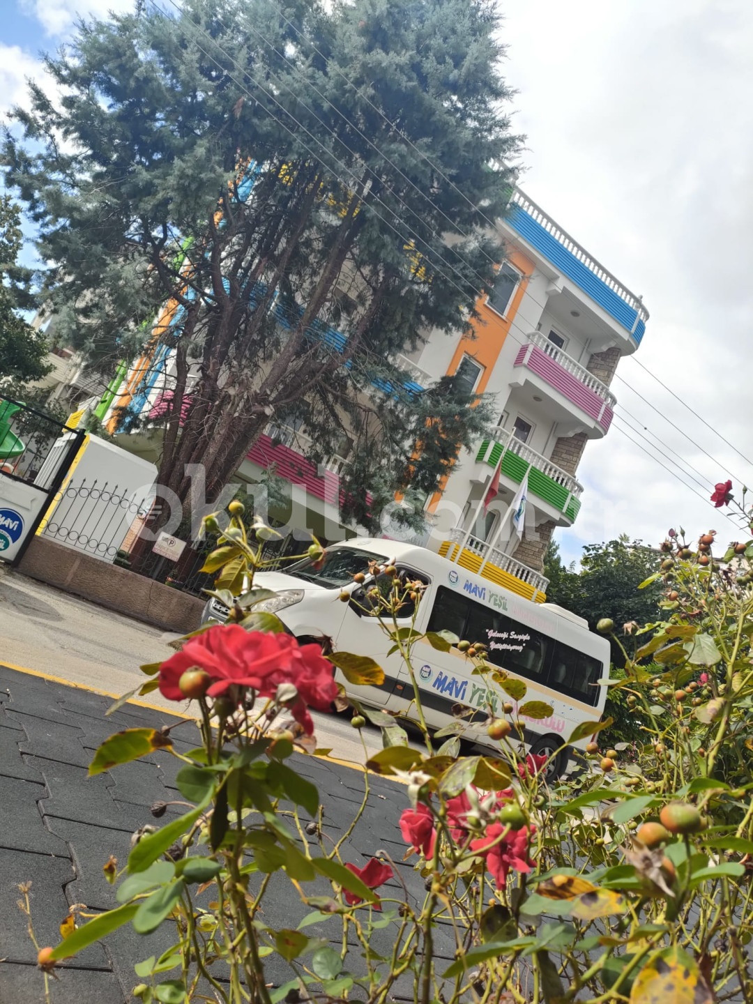 Özel Mavi Yeşil Anaokulu - 1