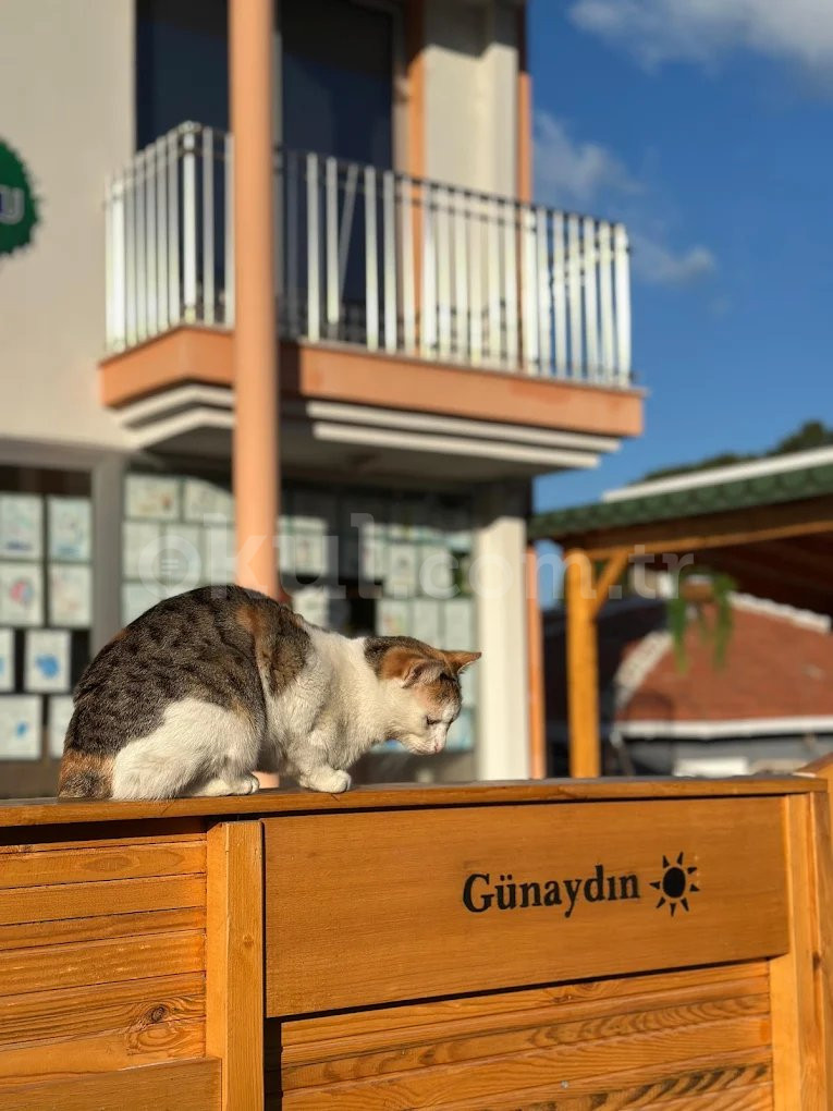 Özel Aliağa Çınar Anaokulu - 2