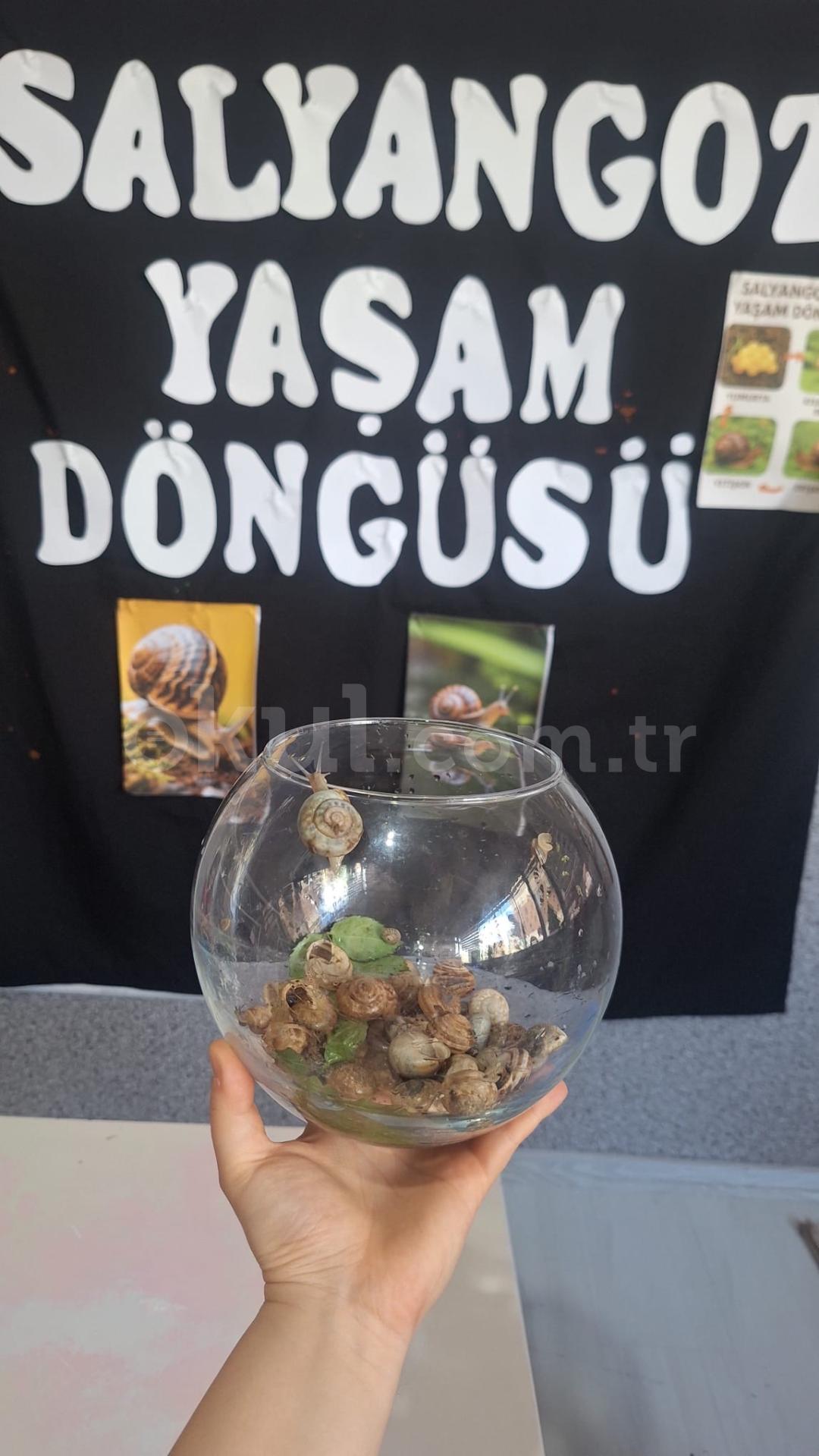 Özel Menemen Bahar Anaokulu - 34