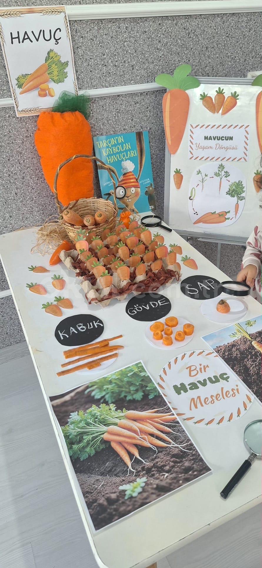 Özel Menemen Bahar Anaokulu - 40