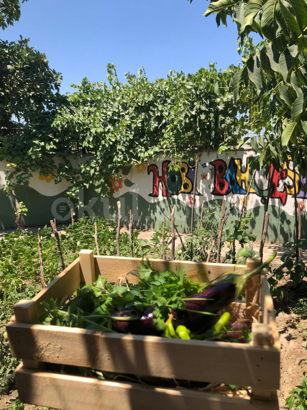 Özel Selimiye Sevgi Yuvası Anaokulu - 6