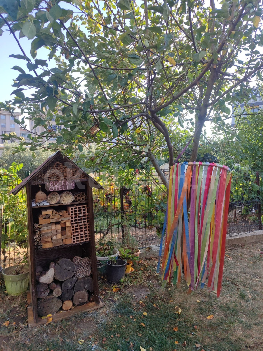 Özel Başka Dünya Anaokulu - 12