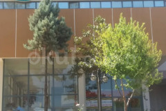 Özel Üçkuyular Kocatürk İlkokulu