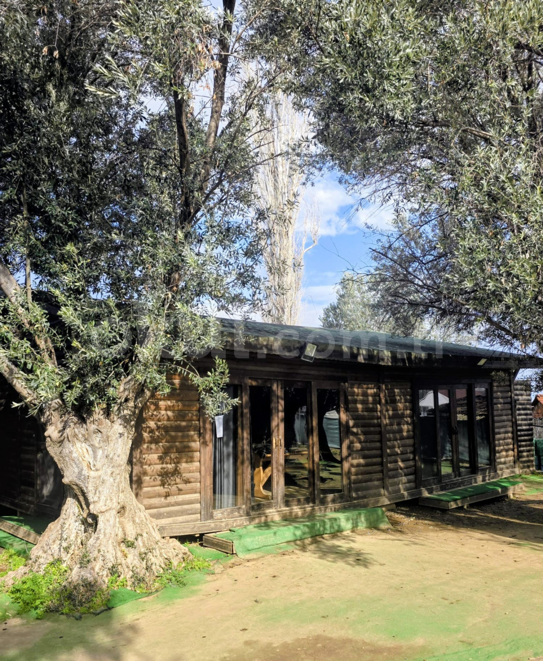 Özel Bilim Koleji Ortaokulu - 4