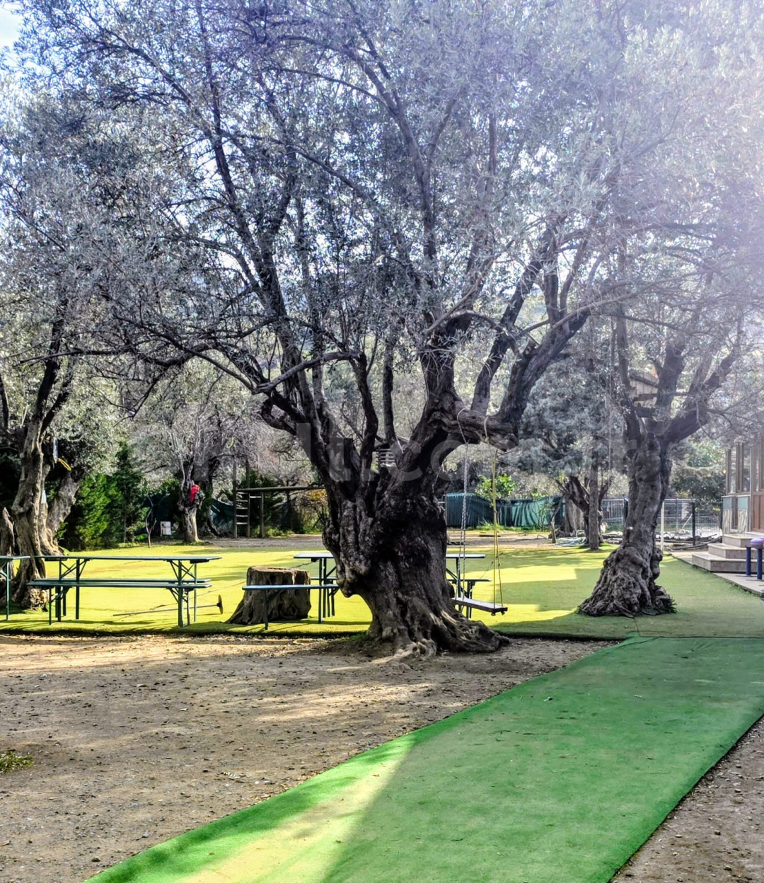 Özel Bilim Koleji Ortaokulu - 9