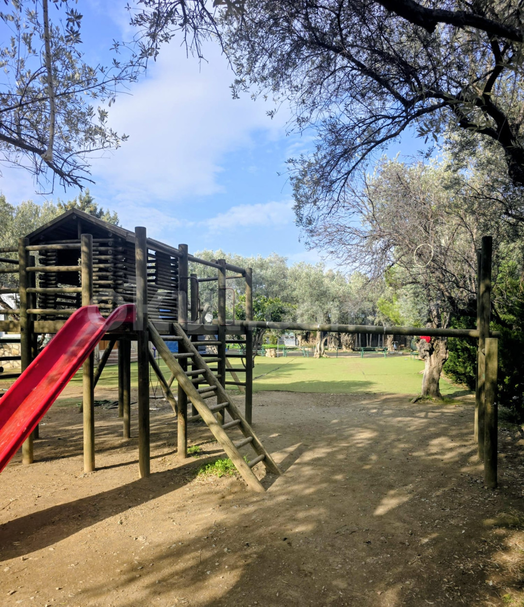 Özel Bilim Koleji Ortaokulu - 8