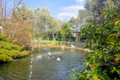 Özel Bilim Koleji Ortaokulu