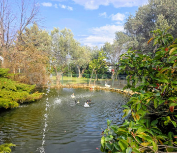 Özel Bilim Koleji Ortaokulu