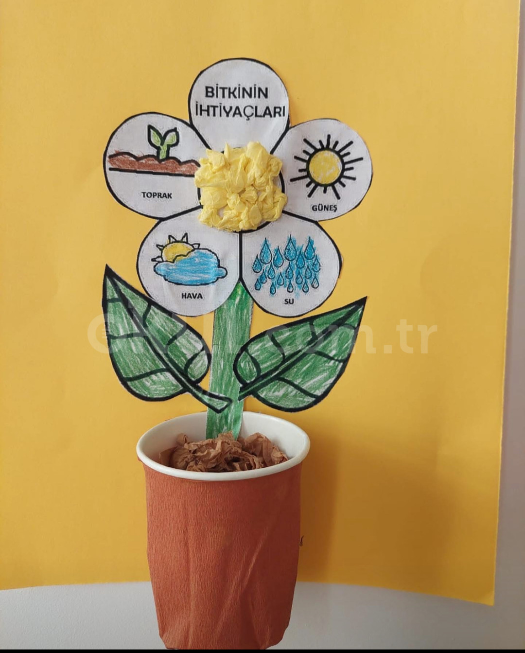 Özel Kukla Anaokulu - 34