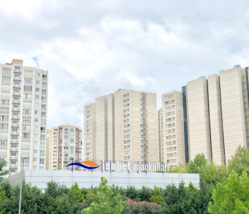 Genel Bakış