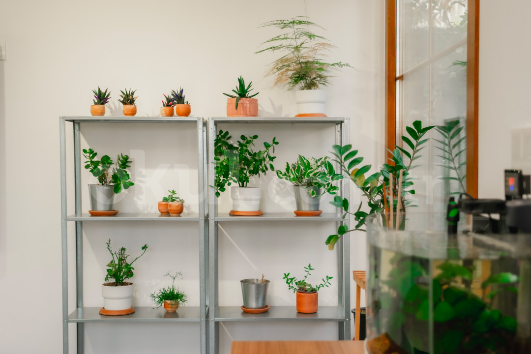 Özel Alsancak Saysen Anaokulu - 14