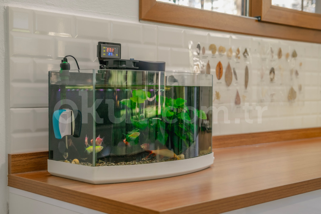 Özel Alsancak Saysen Anaokulu - 16