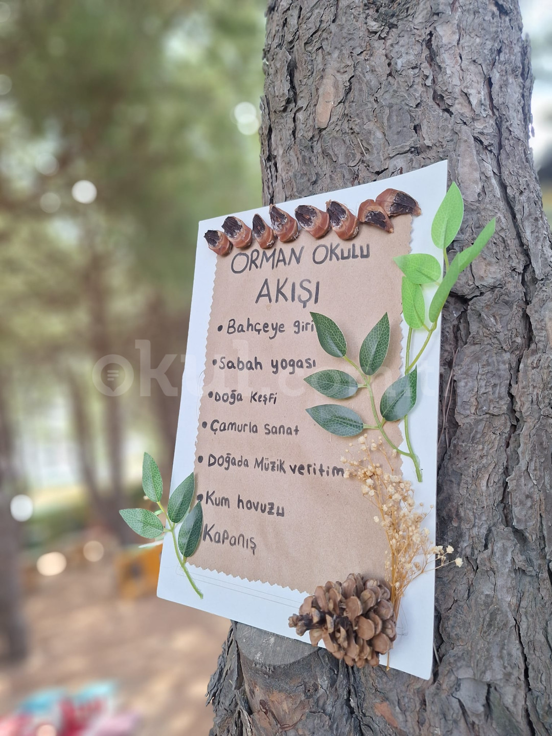 Özel Ilgaz Anaokulu - 2