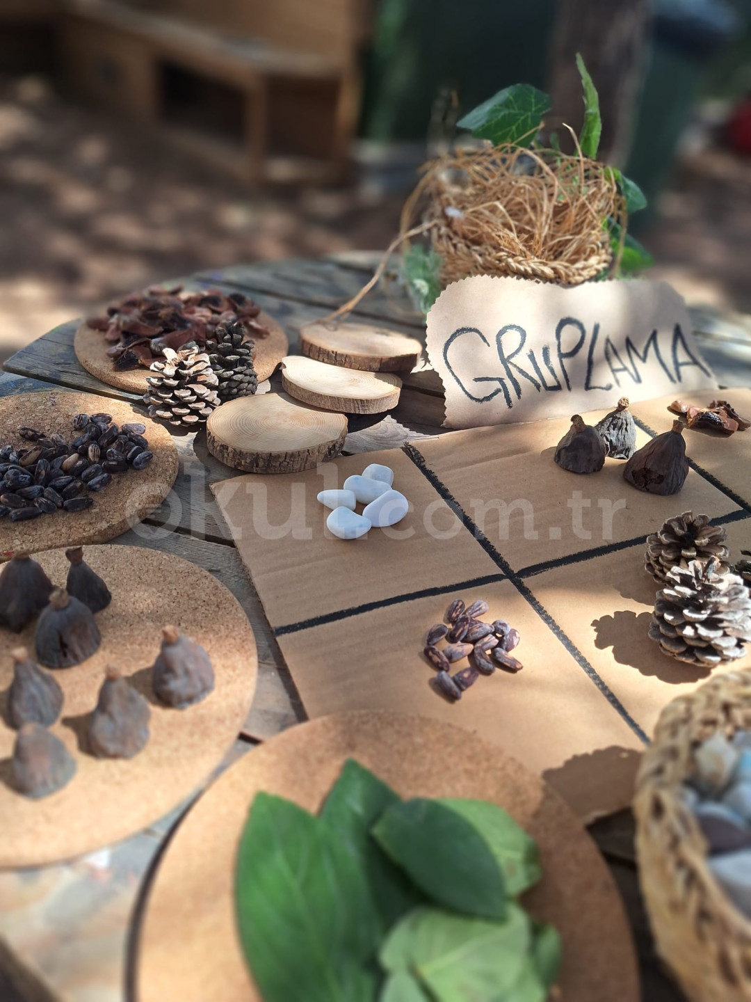 Özel Ilgaz Anaokulu - 9