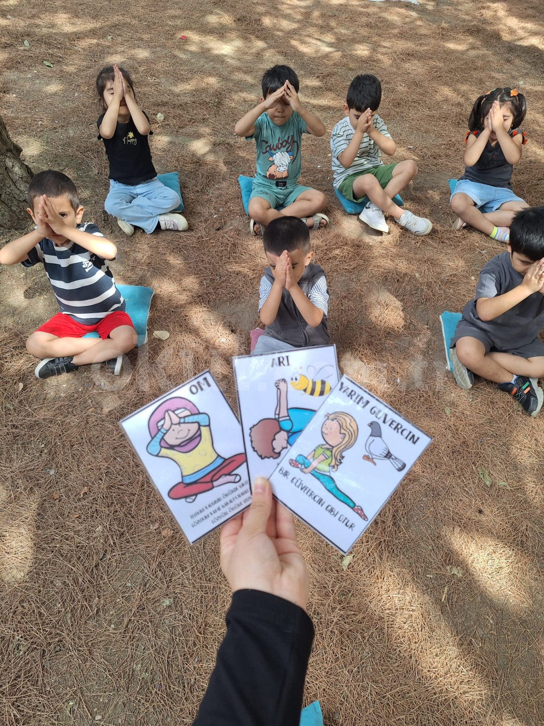 Özel Ilgaz Anaokulu - 13