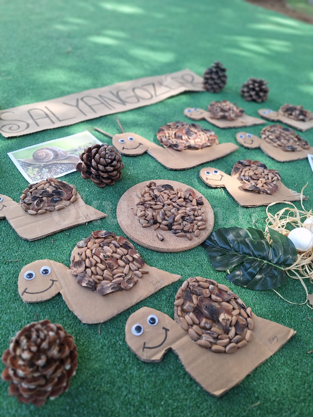 Özel Ilgaz Anaokulu - 25