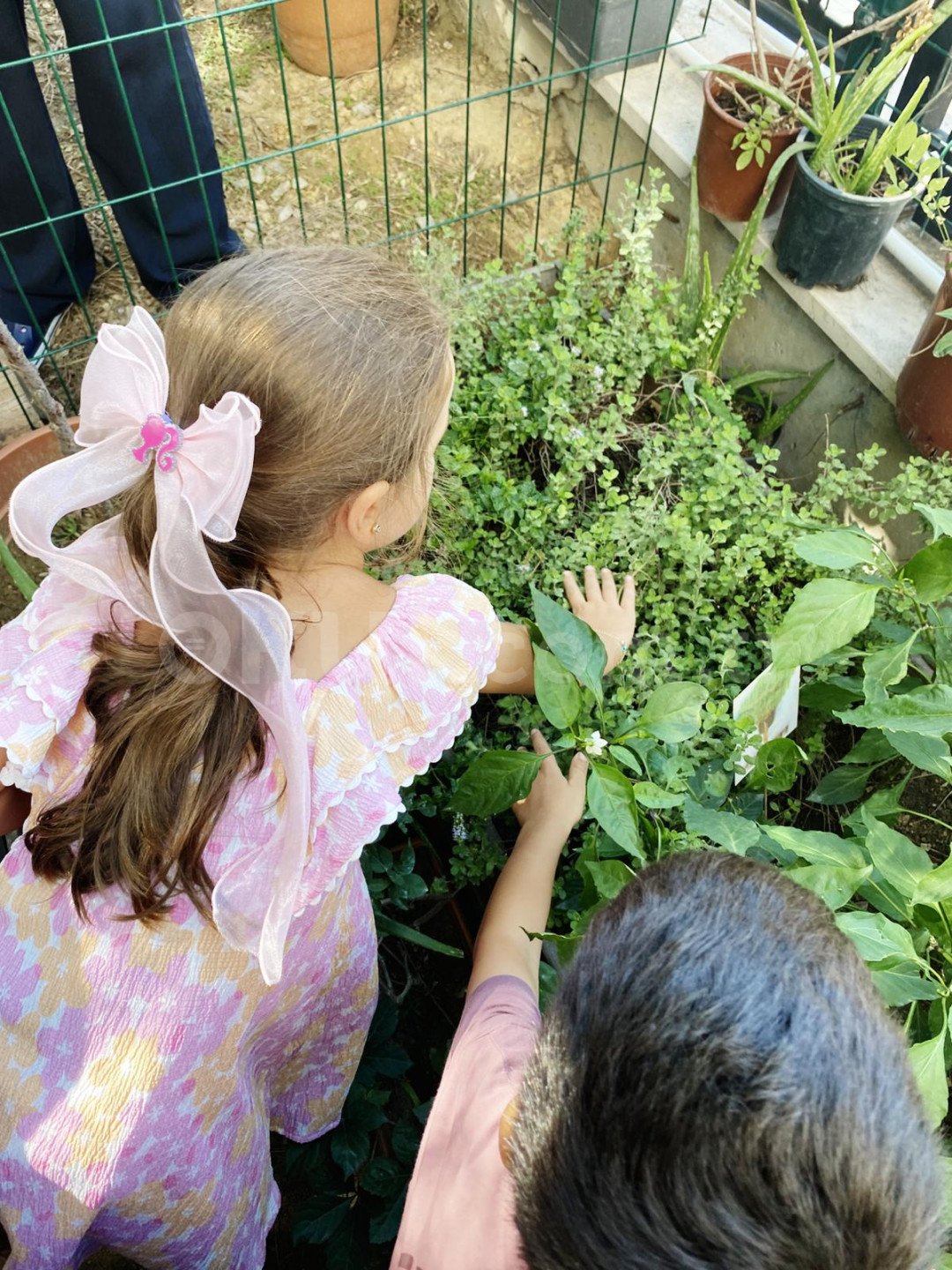 Özel Ilgaz Anaokulu - 23