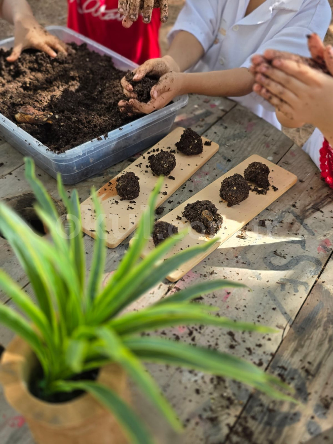 Özel Ilgaz Anaokulu - 27