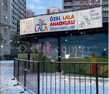 Genel Bakış
