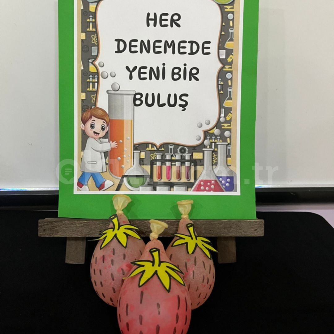 Özel Bayrampaşa Hasbahçe Anaokulu - 26