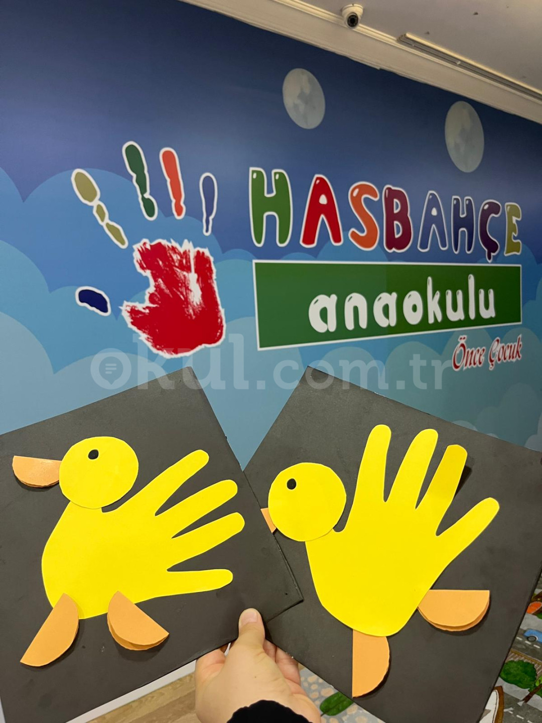 Özel Bayrampaşa Hasbahçe Anaokulu - 19