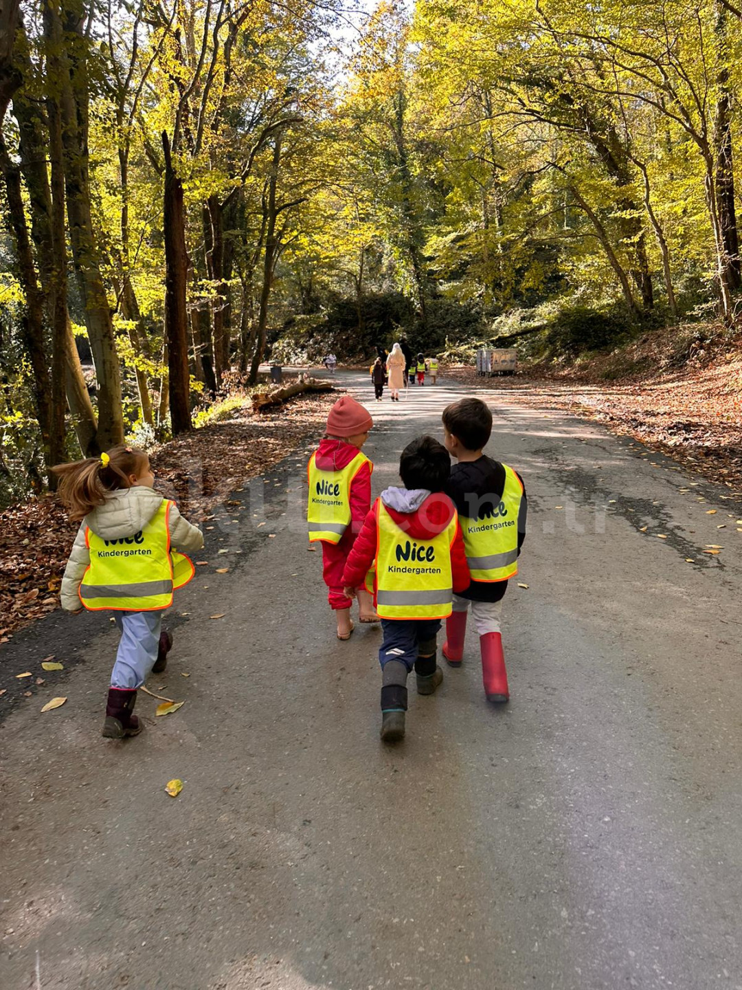 Özel Nice Kindergarten Anaokulu - 14