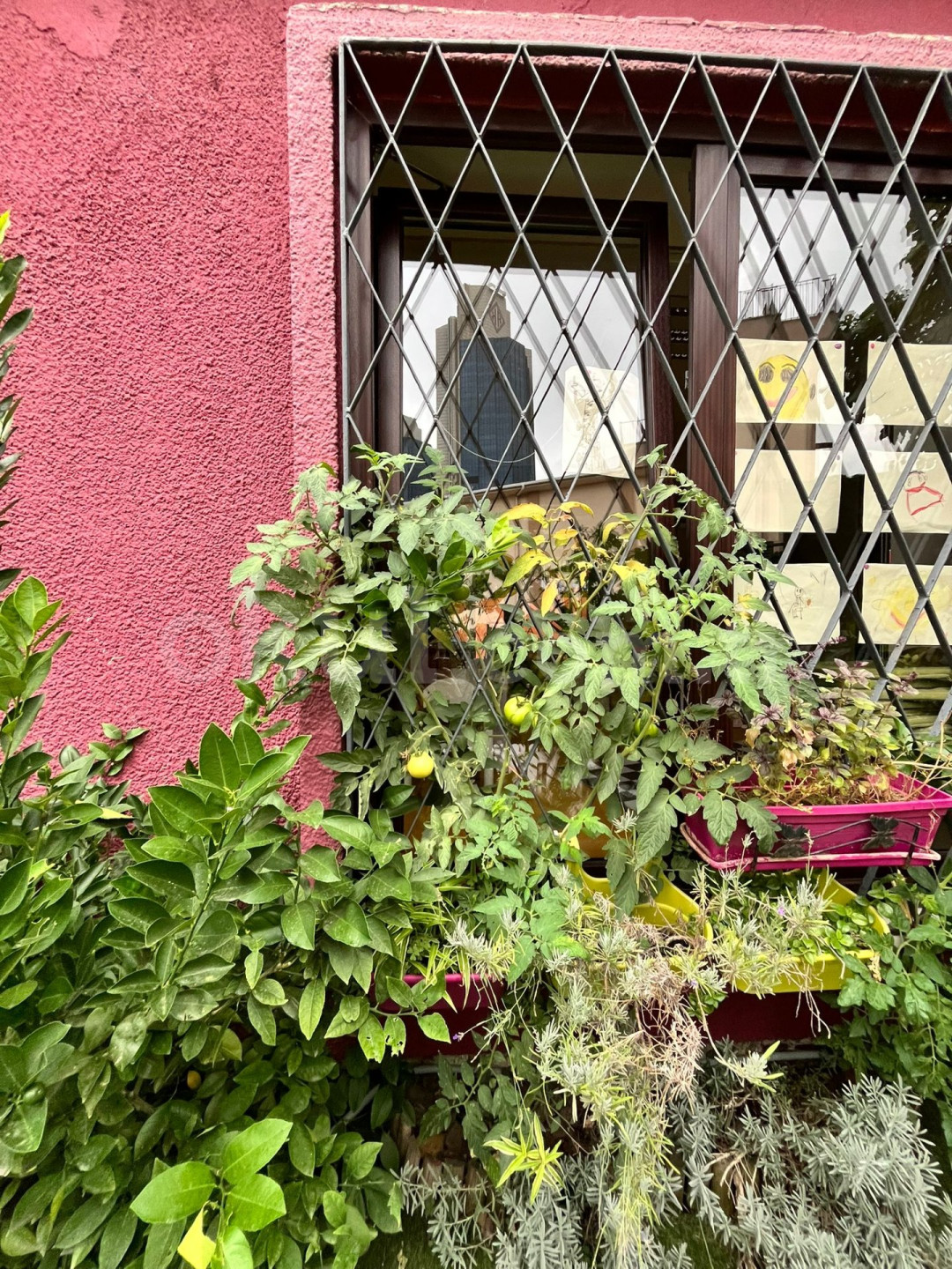 Özel Nice Kindergarten Anaokulu - 13