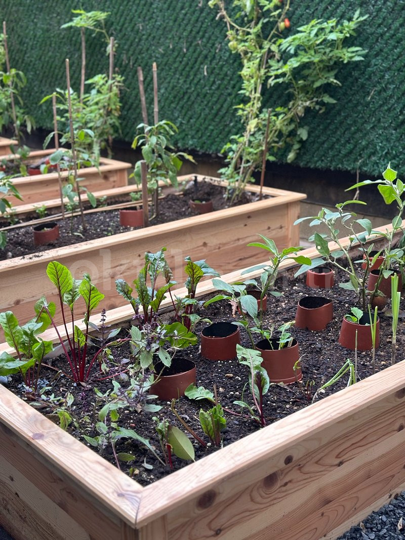 Özel Nice Kindergarten Anaokulu - 13